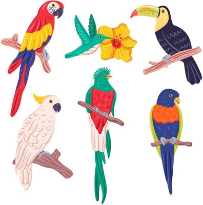 Wallzone 60 cm Colorfull Birds Removable Sticker(Pack of 1)