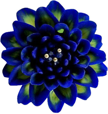 Futaba Lilac Time Flower Dahlia - 100 Pcs Seed(100 per packet)