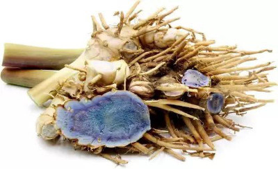 WILD FOREST KALI HALDI Seed(5 per packet)