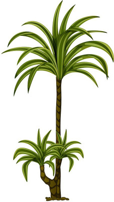 Littlebuds 80 cm Tree Removable Sticker(Pack of 1)