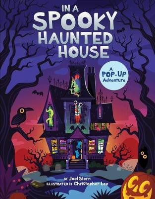 In a Spooky Haunted House(English, Board book, Stern Joel)