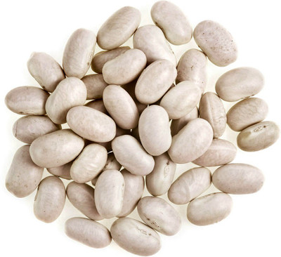 Futaba Magic Growing Message Bean - 5 Pcs Seed(5 per packet)