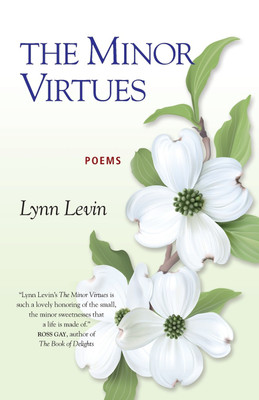 The Minor Virtues(English, Paperback, Levin Lynn)