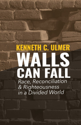 Walls Can Fall(English, Paperback, Ulmer Kenneth C)