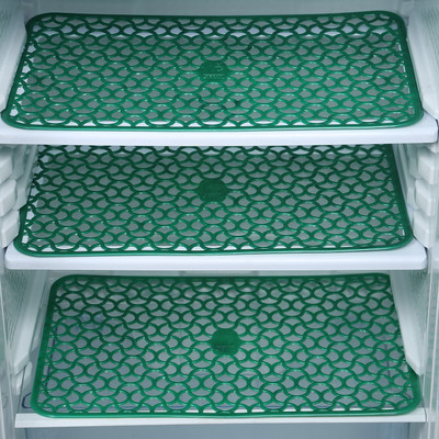 E-Retailer Fridge Mat(Width: 0 cm, Green)