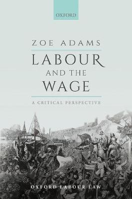 Labour and the Wage(English, Hardcover, Adams Zoe)