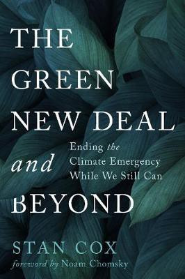 The Green New Deal and Beyond(English, Paperback, Cox Stan)