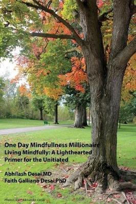 One Day Mindfulness Millionaire(English, Paperback, Desai Abhilash)