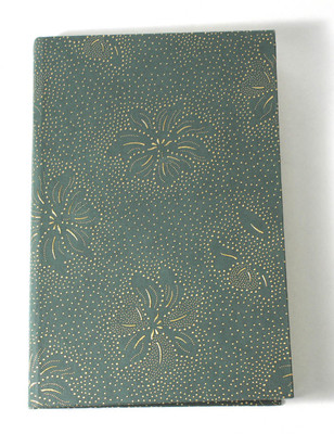 Camlon Exports NA A4 Diary Unruled 96 Pages(Green)