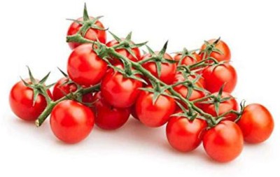 Jioo Organics Cherry Tomato Seeds Seed(1 per packet)