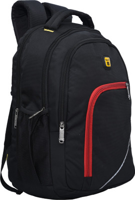 Blowzy Bags Light Weight Polyester 30 L Laptop Backpack(Black)