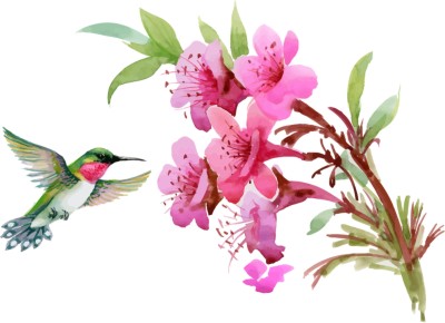 DivineDesigns 46 cm Floral Bird Wall Sticker Self Adhesive Sticker(Pack of 1)