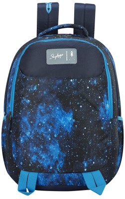 SKYBAGS Astro 04 32 L Backpack(Multicolor)