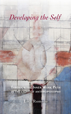 Developing the Self(English, Paperback, Romero Lisa)