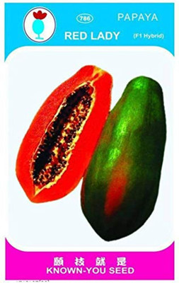 Balaji Store red lady 786 hybrid f1 papaya seeds Seed(650 per packet)