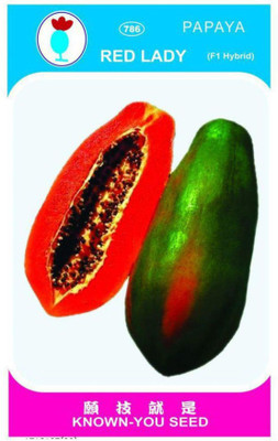 FRESHO red lady papaya 786 hybrid f1 seeds Seed(100 per packet)
