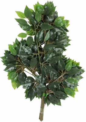 RAM MURTI ENTERPRISES Artificial Plant(60 cm, Green)