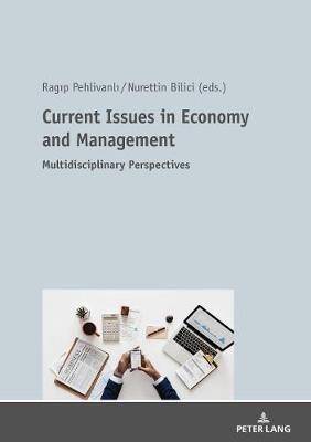 Current Issues in Economy and Management(English, Paperback, unknown)