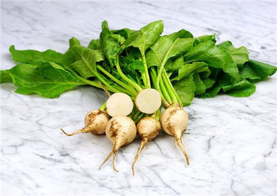 Airex Beet Root (White) Microgreen Seeds - Pack Of AVG 30 - 50 Seeds x 3 Packet Seed(90 per packet)