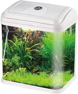 R S electrical Glass Aquarium 8 lt | RS-230 EL | Rectangle Aquarium Tank