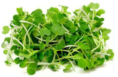 Airex Pak Choy (Green) Microgreen Seeds - Pack Of AVG 30 - 50 Seeds x 10 Packet Seed(300 per packet)