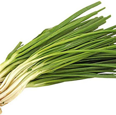 Airex Scallions (White Green Leaf) Microgreen Seeds - Pack Of AVG 30 - 50 Seeds x 8 Packet Seed(240 per packet)