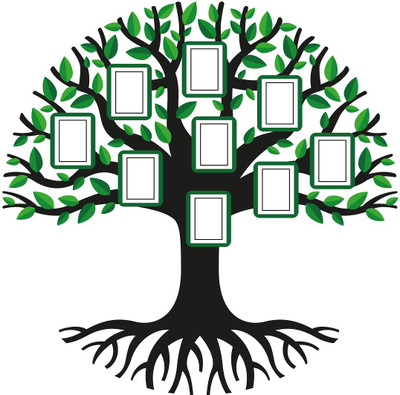 Littlebuds 100 cm Photo Tree Removable Sticker(Pack of 1)