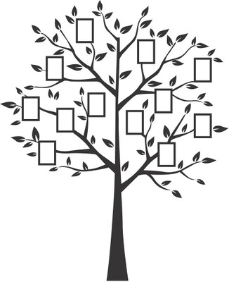 Littlebuds 110 cm Photo Tree Removable Sticker(Pack of 1)
