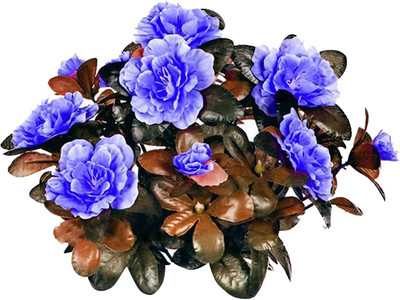 Futaba Azalea Iggy Flower -Sky blue-50pcs Seed(50 per packet)