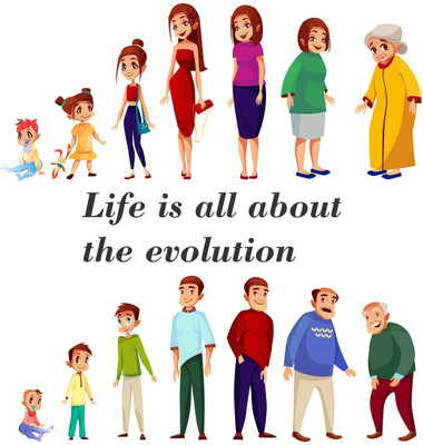 Littlebuds 70 cm Life Evolution Removable Sticker(Pack of 1)
