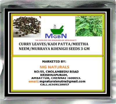 MGBN CURRY LEAVES/KADI PATTA/MEETHA NEEM/MURRAYA KOENIGII SEEDS Seed(18 per packet)