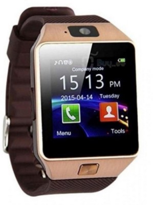 Fliptic DZ09 Smartwatch(Brown Strap, M)