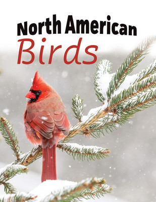 North American Birds(English, Paperback, unknown)