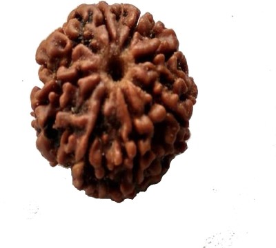 om rudraksha 10 mukhi rudraksha Wood