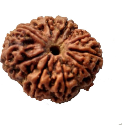 om rudraksha 9 mukhi rudraksha Wood