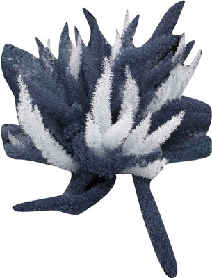 Futaba Perennial Foxtail Ferns - White and Greyish -100 Pcs Seed(100 per packet)