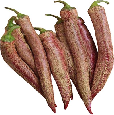 Futaba Vezanka Hot Chilli Pepper - 50 Pcs Seed(50 per packet)