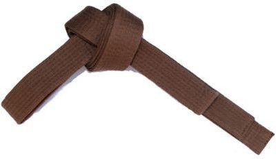 AVATS Judo Karate Matial Arts Belt_SN_63 Abdominal Belt(Brown)