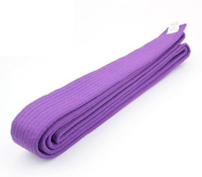 AVATS Judo Karate Matial Arts Belt_SN_104 Abdominal Belt(Purple)