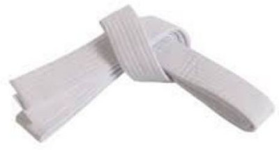 AVATS Judo Karate Matial Arts Belt_SN_42 Abdominal Belt(White)
