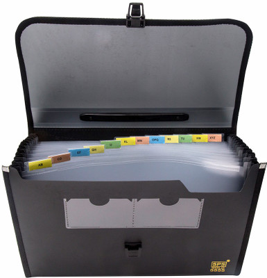 Skrill Plastic File Folder(Set Of 1, Grey)