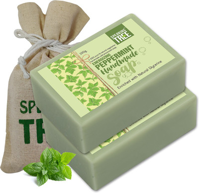 Speaking tree Energizing Peppermint Handmade Soap - 100gms each (Pack of 2)(200 g)