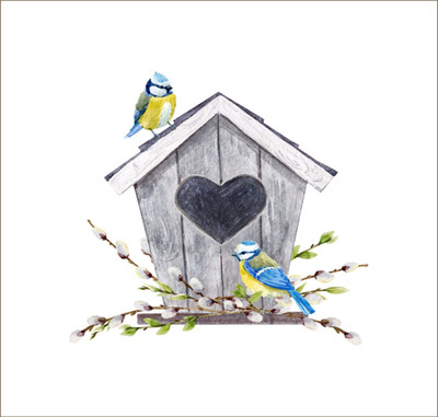 DivineDesigns 51 cm Love Nest Bird Sticker Self Adhesive Sticker(Pack of 1)