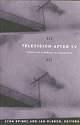 Television after TV(English, Paperback, unknown)