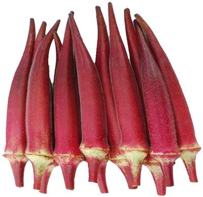 Futaba Red Okra - 20 Pcs Seed(20 per packet)