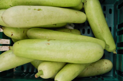 Corofitam Bottle Gourd Round Seed(15 per packet)