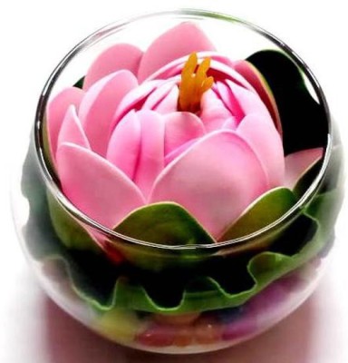 Green Plant indoor Lotus157 Glass Vase(6 inch, Pink)