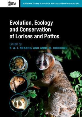 Evolution, Ecology and Conservation of Lorises and Pottos(English, Hardcover, unknown)