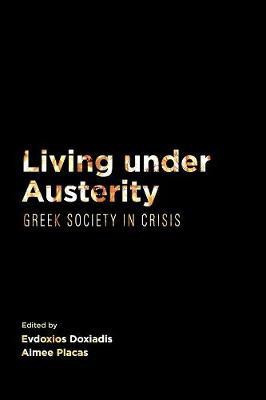 Living Under Austerity(English, Paperback, unknown)