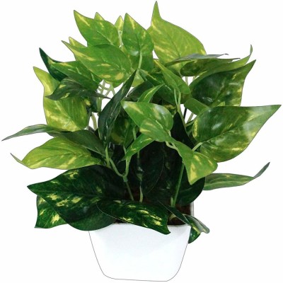 Yutiriti Plastic Miniature Money Plant Leaf Artificial Indoor/Outdoor Plant Decorative Plant Artificial Plant  with Pot(23 cm, Green)